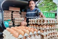 Harga Telur di Bekasi