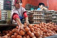 Harga Telur Ayam Hari Ini