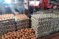 Harga Telur Hari Ini