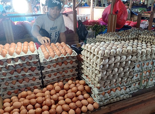 Harga Telur di Bekasi