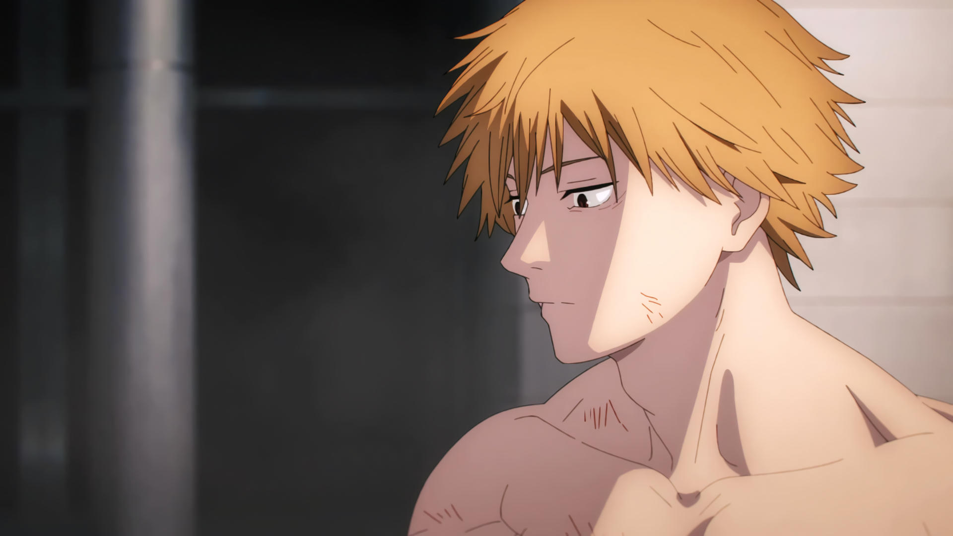 Denji Chainsaw Man